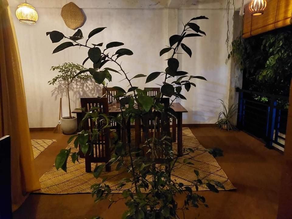 אנוראדפורה Kingcity Resort מראה חיצוני תמונה